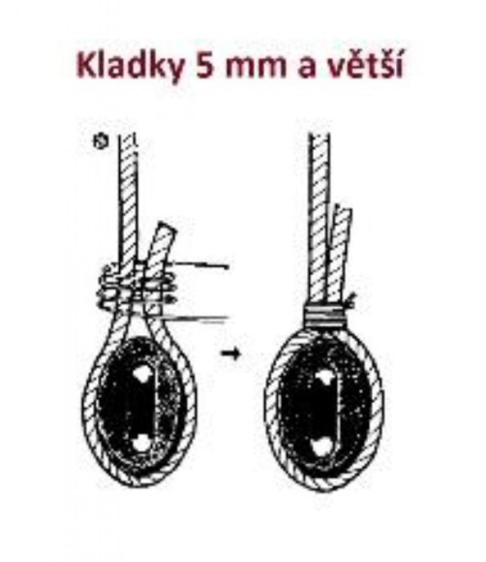 Papegojan (Plná velikost v novém okně) Papegojan