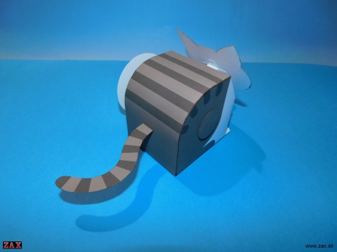 Untiring Kitty Untiring Kitty