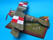 Albatros D.III (Oef)
