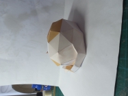 Cat poligon