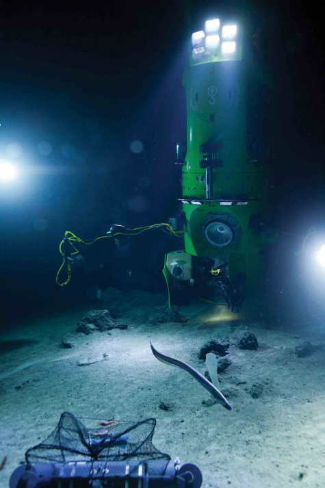 Deepsea Challenger Deepsea Challenger