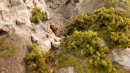 hrad T��ov