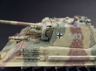 Panther