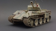 Panther