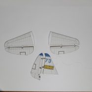 P-47D-2 Thunderbolt / Halinski/ 1:33