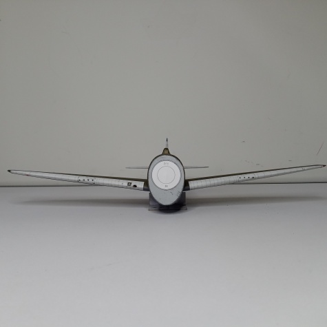 P-47D-2 Thunderbolt / Halinski/ 1:33 P-47D-2 Thunderbolt / Halinski/ 1:33