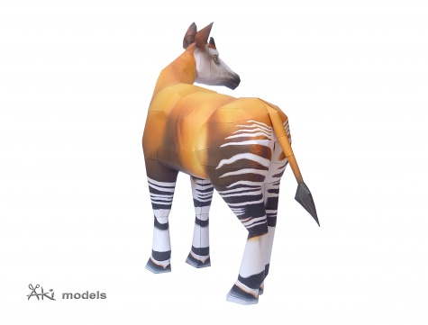 Okapi Okapi