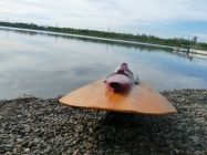 Hydroplane San Marco KD 800 - 1957