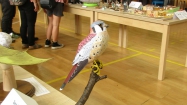 Pap�r show Ostrava - 2024