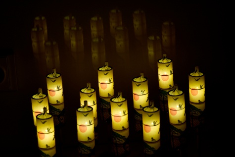 Lanterns of Woodford Folk Festival Lanterns of Woodford Folk Festival