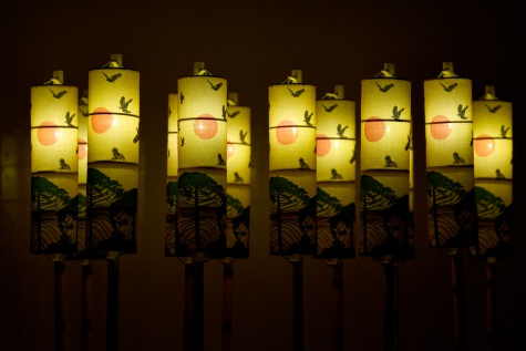 Lanterns of Woodford Folk Festival