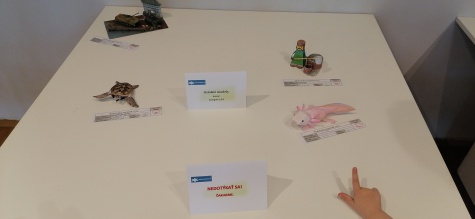 Výstava Budatínsky papierák 2025 Výstava Budatínsky papierák 2025