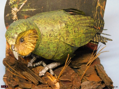 Kakapo soví Kakapo soví