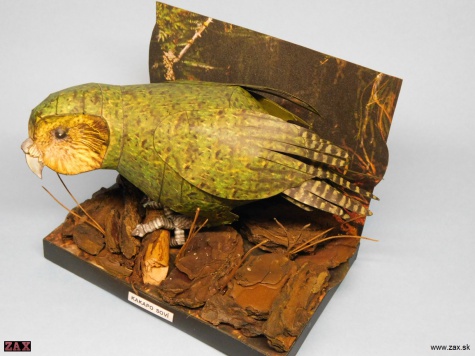 Kakapo soví Kakapo soví