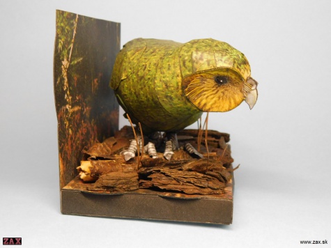 Kakapo sov�