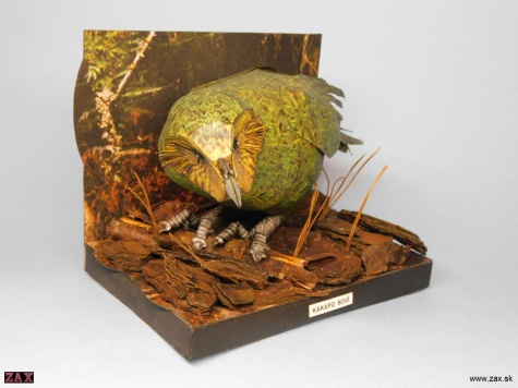 Kakapo sov�