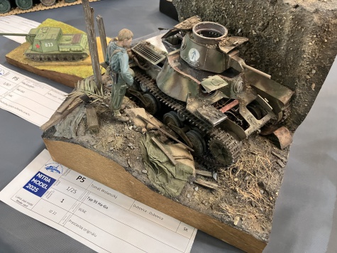 Nitra Model 2025