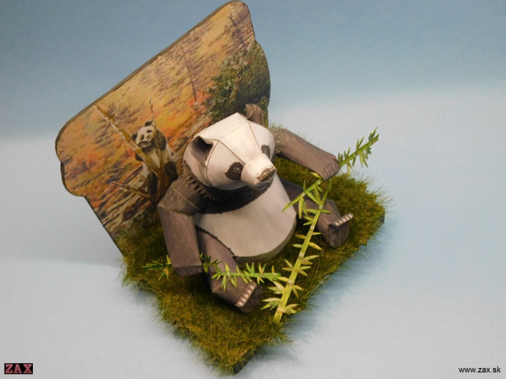 Panda velká (Plná velikost v novém okně) Panda velká