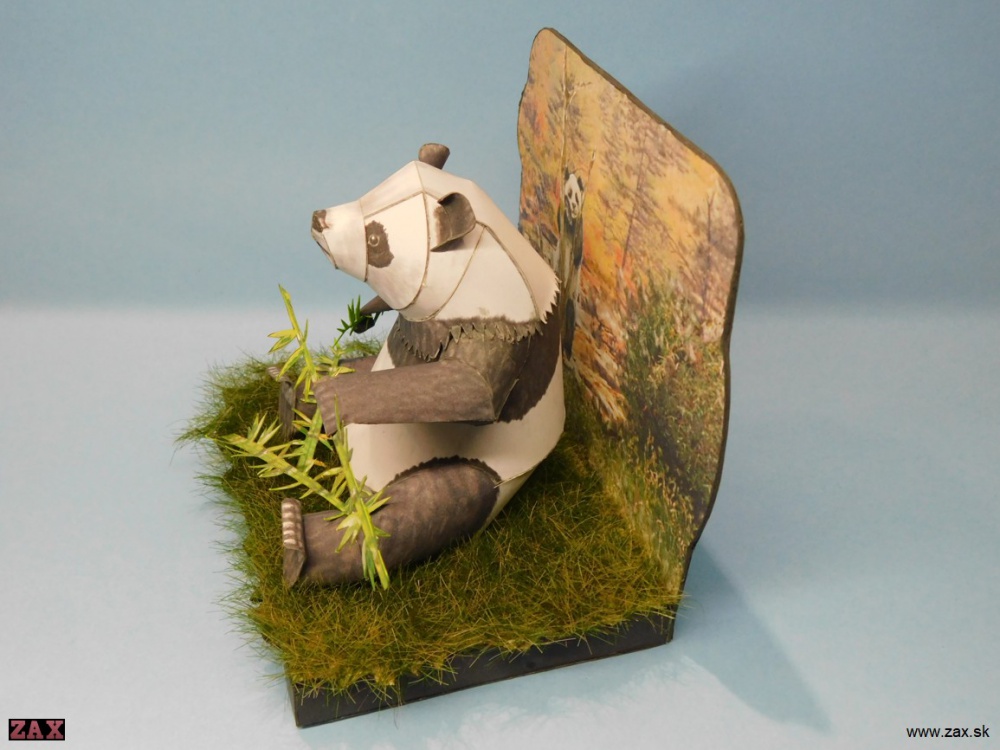 Panda velká (Plná velikost v novém okně) Panda velká