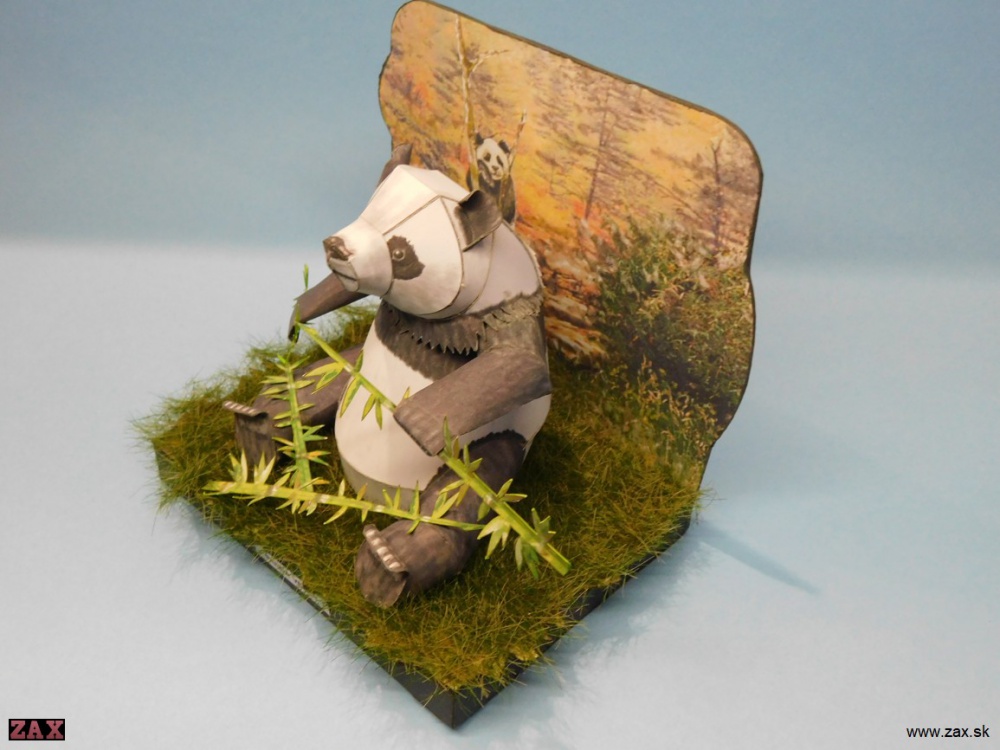 Panda velká (Plná velikost v novém okně) Panda velká