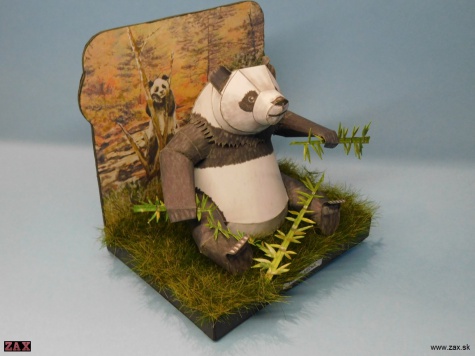 Panda velká Panda velká