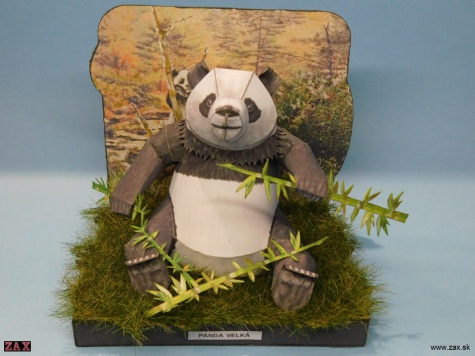 Panda velká Panda velká