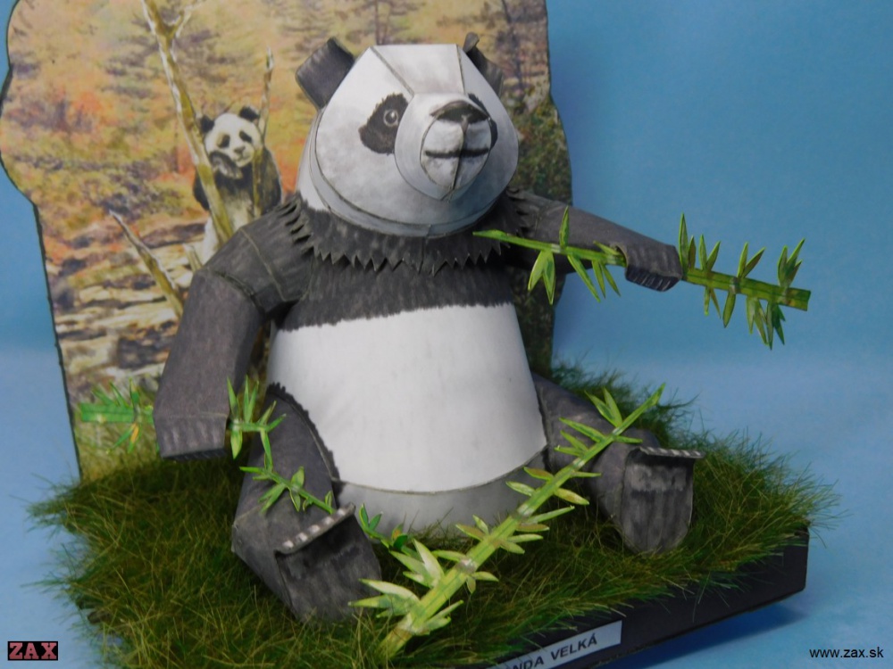 Panda velká (Plnďż˝ velikost v novďż˝m oknďż˝) Panda velká