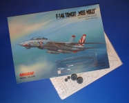 Grumman F-14A Tomcat