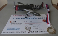 Republic P-47 D-11 Thunderbolt