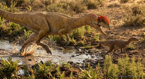 Dilophosaurus Dilophosaurus