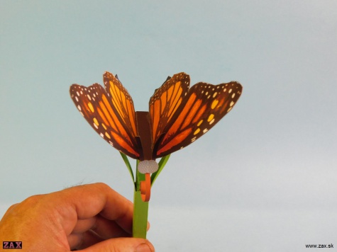 Push Rod Butterfly Push Rod Butterfly