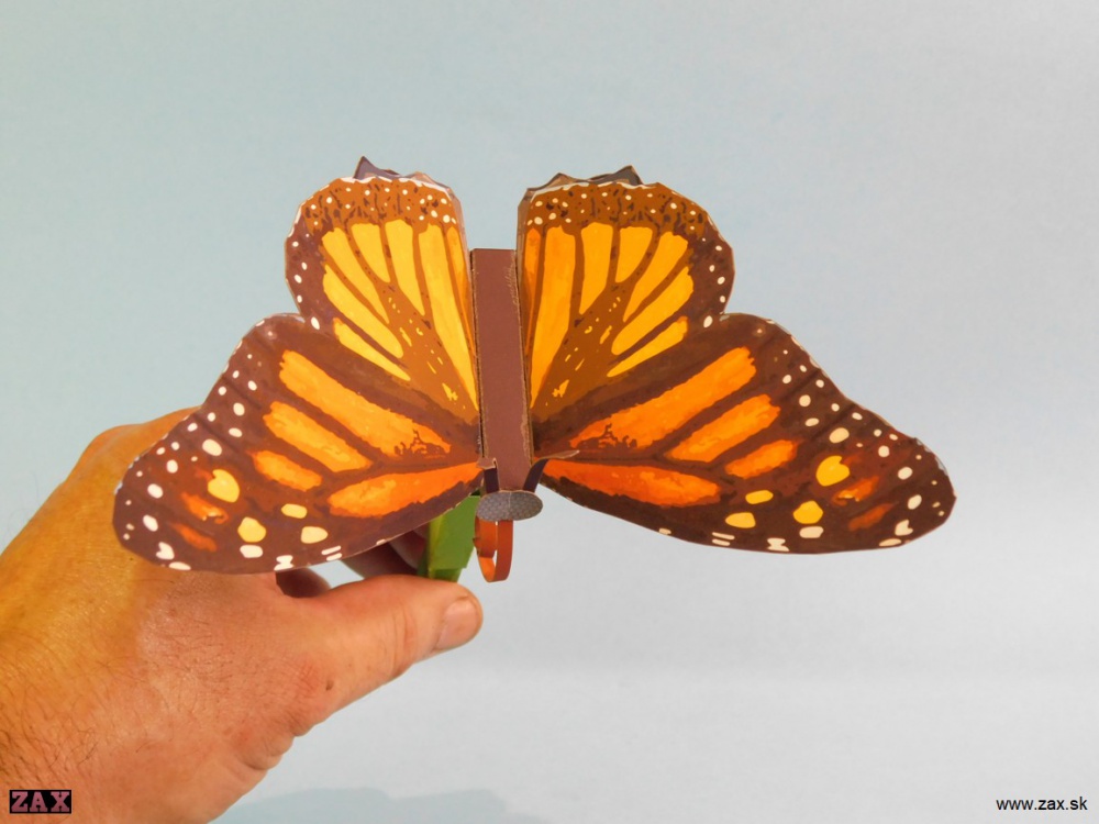 Push Rod Butterfly (Plná velikost v novém okně) Push Rod Butterfly
