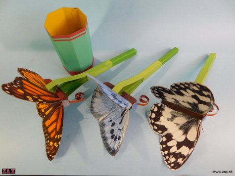 Push Rod Butterfly Push Rod Butterfly