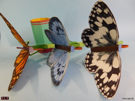 Push Rod Butterfly Push Rod Butterfly