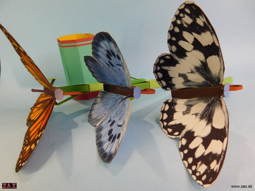 Push Rod Butterfly (Plná velikost v novém okně) Push Rod Butterfly