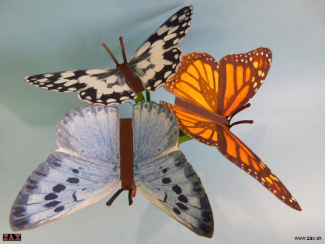 Push Rod Butterfly