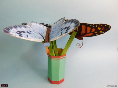 Push Rod Butterfly