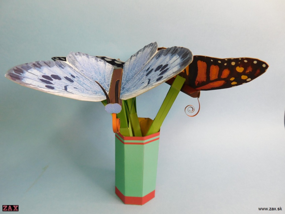 Push Rod Butterfly (Pln� velikost v nov�m okn�) Push Rod Butterfly