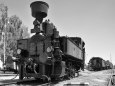 310.0- kniha
