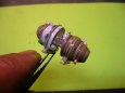 555.0153 - p�estavba z TY-2
