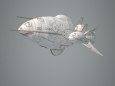 ABC ship