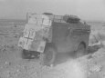 AEC dORCHESTER