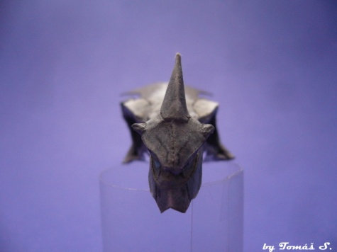 Alduin-Skyrim frost dragon Alduin-Skyrim frost dragon