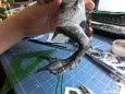 Alduin-Skyrim frost dragon