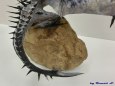 Alduin-Skyrim frost dragon