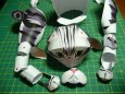 American Shorthair Cat
