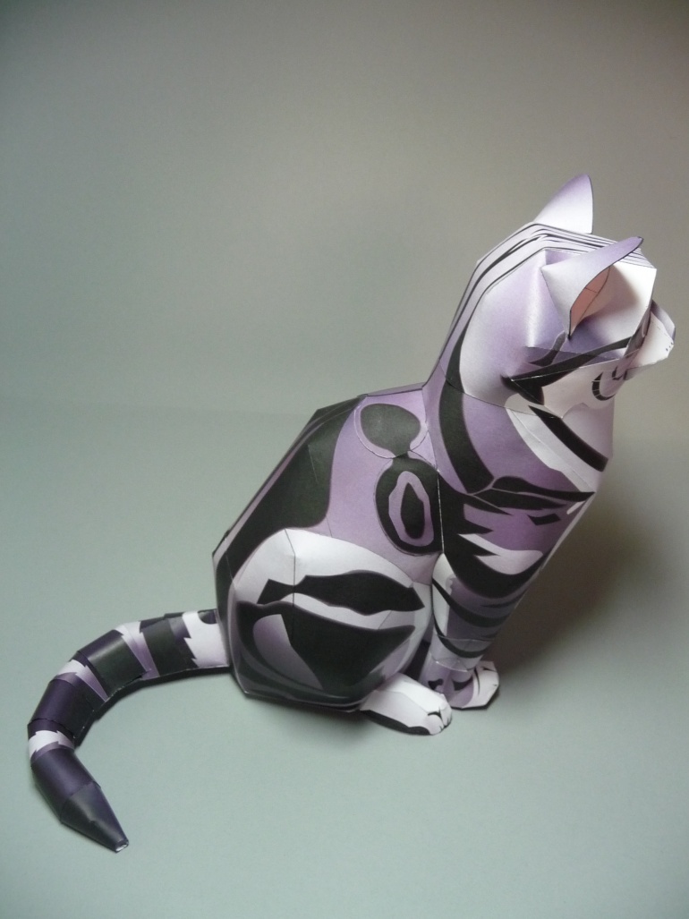 American Shorthair Cat