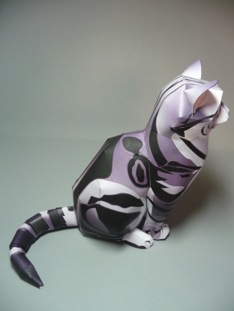American Shorthair Cat American Shorthair Cat