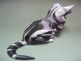 American Shorthair Cat