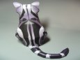 American Shorthair Cat